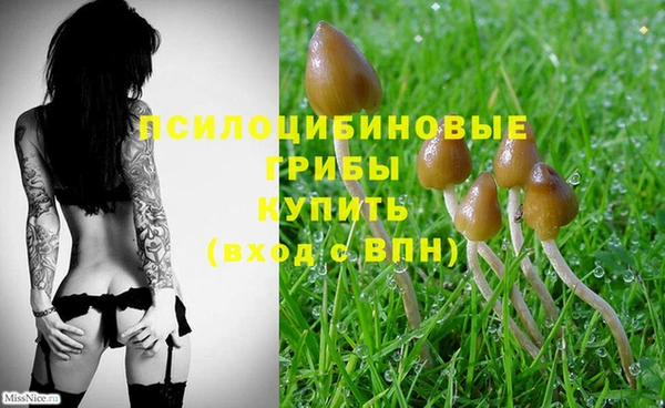 герыч Пестово