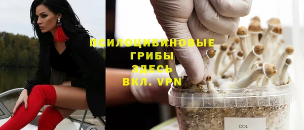 эйфоретик Пересвет