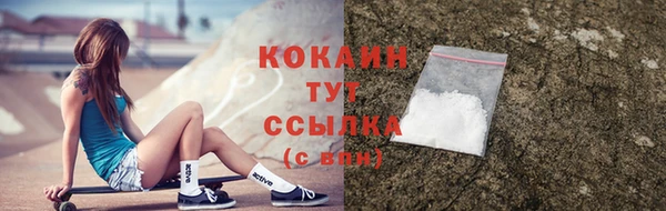 эйфоретик Пересвет