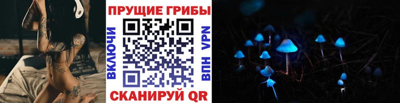 Псилоцибиновые грибы GOLDEN TEACHER  Сельцо 